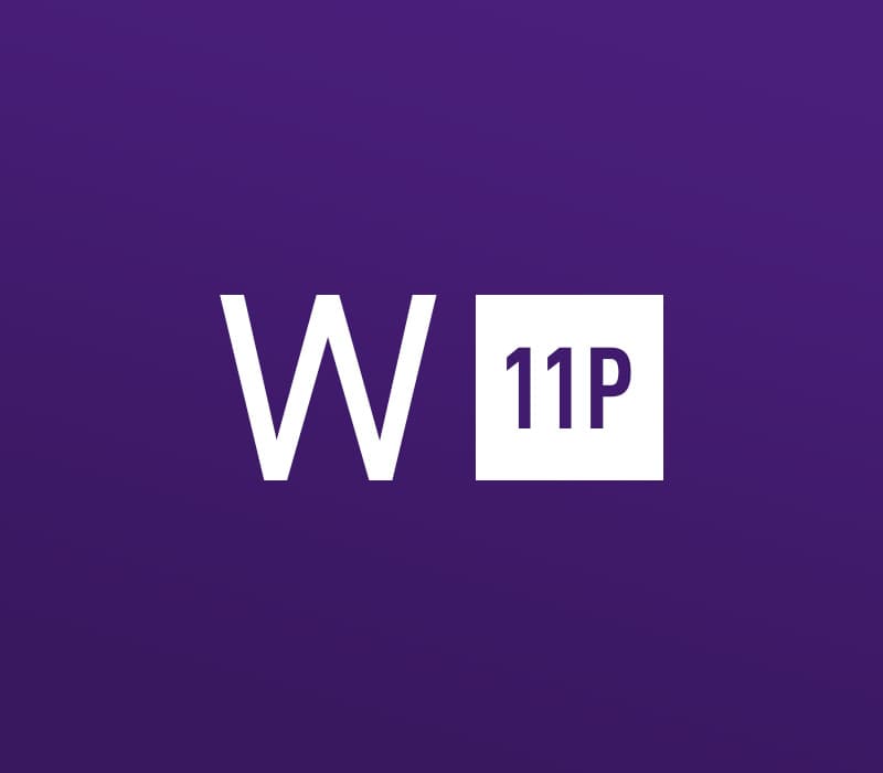 Windows 11